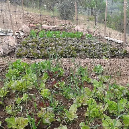 Κατάλυμα σε φάρμα Al Poggetto