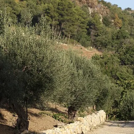 Κατάλυμα σε φάρμα Al Poggetto