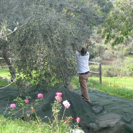 Farmház Al Poggetto