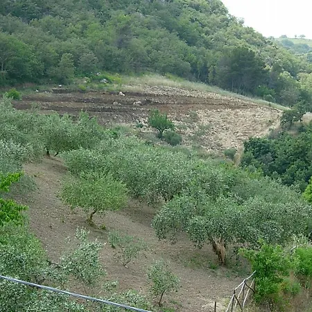 Al Poggetto * Piana Degli Albanesi