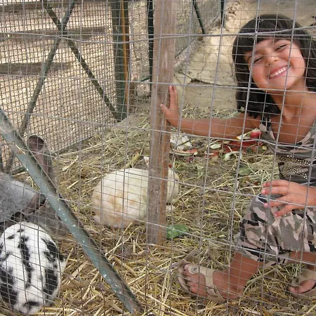 Alojamento de Turismo Rural Al Poggetto