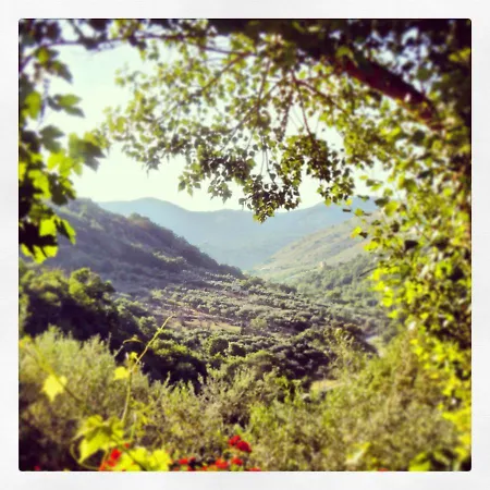 Al Poggetto Alojamento de Turismo Rural Piana Degli Albanesi