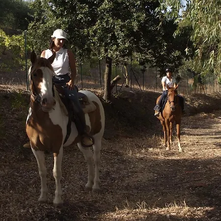Alojamento de Turismo Rural Al Poggetto