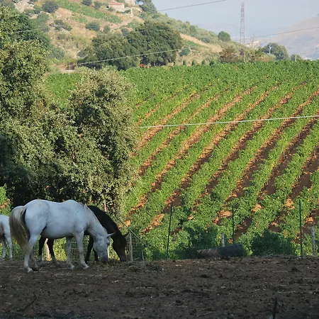 Agriturismo Al Poggetto Farm stay *